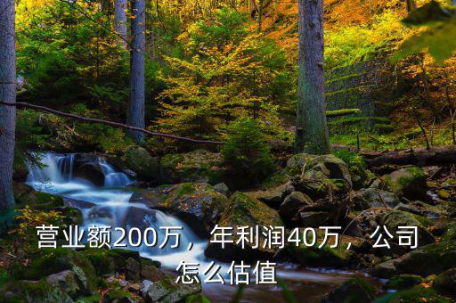 營(yíng)業(yè)額200萬(wàn)，年利潤(rùn)40萬(wàn)，公司怎么估值