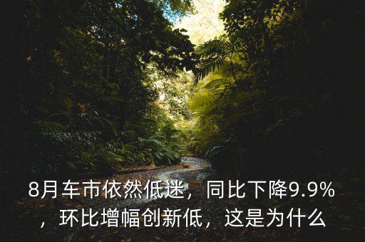 8月車市依然低迷，同比下降9.9%，環(huán)比增幅創(chuàng)新低，這是為什么