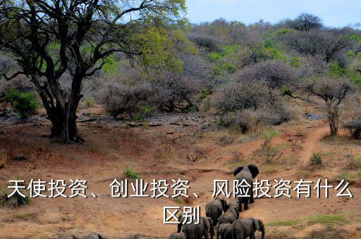 天使投資、創(chuàng)業(yè)投資、風(fēng)險(xiǎn)投資有什么區(qū)別