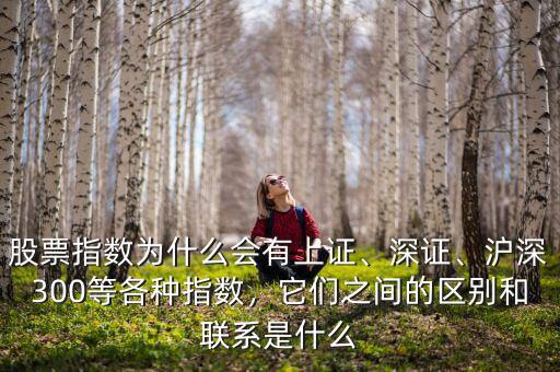 股票指數(shù)為什么會(huì)有上證、深證、滬深300等各種指數(shù)，它們之間的區(qū)別和聯(lián)系是什么