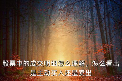 股票中的成交明細(xì)怎么理解，怎么看出是主動(dòng)買(mǎi)入還是賣(mài)出