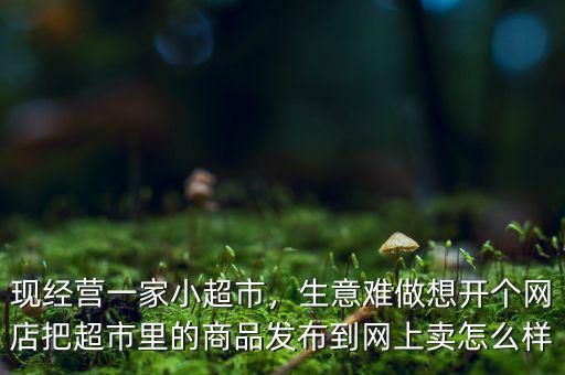 現(xiàn)經(jīng)營一家小超市，生意難做想開個網(wǎng)店把超市里的商品發(fā)布到網(wǎng)上賣怎么樣