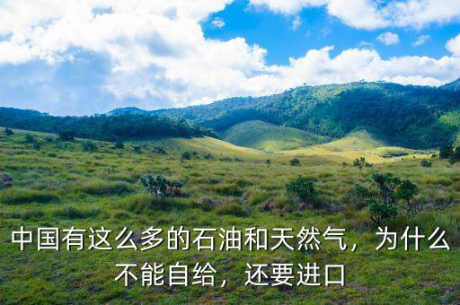 中國(guó)有這么多的石油和天然氣，為什么不能自給，還要進(jìn)口