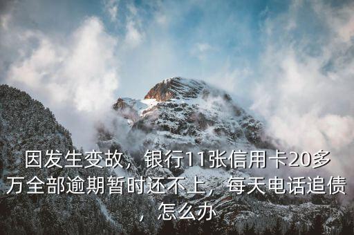 因發(fā)生變故，銀行11張信用卡20多萬全部逾期暫時還不上，每天電話追債，怎么辦
