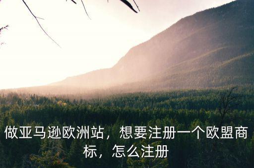 做亞馬遜歐洲站，想要注冊一個歐盟商標(biāo)，怎么注冊