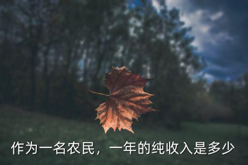 作為一名農(nóng)民，一年的純收入是多少
