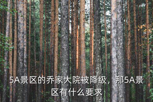 5A景區(qū)的喬家大院被降級，那5A景區(qū)有什么要求