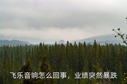 飛樂音響怎么回事，業(yè)績(jī)突然暴跌