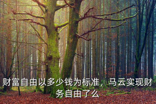 財富自由以多少錢為標準，馬云實現(xiàn)財務自由了么