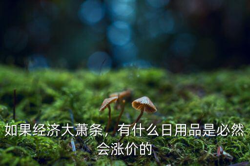 如果經(jīng)濟(jì)大蕭條，有什么日用品是必然會(huì)漲價(jià)的