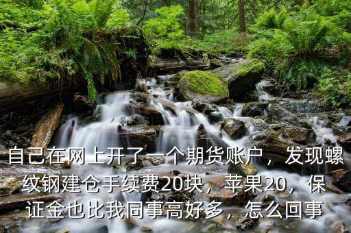 自己在網(wǎng)上開(kāi)了一個(gè)期貨賬戶，發(fā)現(xiàn)螺紋鋼建倉(cāng)手續(xù)費(fèi)20塊，蘋(píng)果20，保證金也比我同事高好多，怎么回事