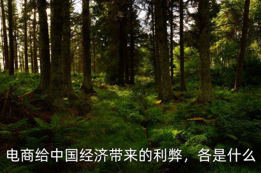 電商給中國(guó)經(jīng)濟(jì)帶來(lái)的利弊，各是什么
