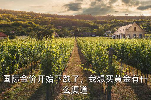 國(guó)際金價(jià)開始下跌了，我想買黃金有什么渠道