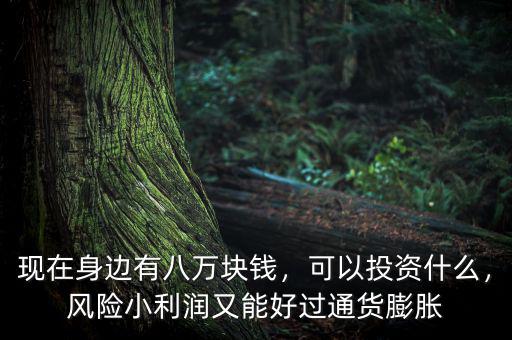 現(xiàn)在身邊有八萬塊錢，可以投資什么，風(fēng)險(xiǎn)小利潤(rùn)又能好過通貨膨脹