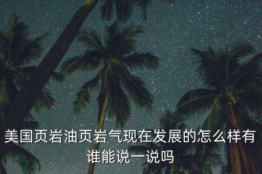 美國(guó)頁(yè)巖油頁(yè)巖氣現(xiàn)在發(fā)展的怎么樣有誰(shuí)能說一說嗎