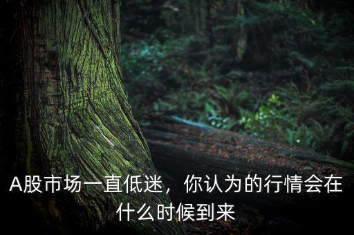 A股市場一直低迷，你認為的行情會在什么時候到來