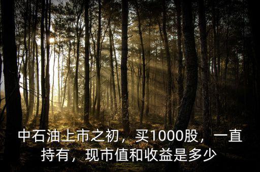 中石油上市之初，買1000股，一直持有，現(xiàn)市值和收益是多少