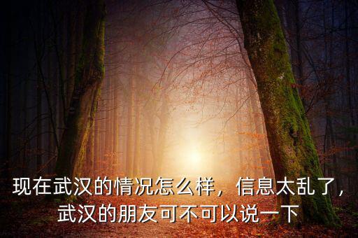 現(xiàn)在武漢的情況怎么樣，信息太亂了，武漢的朋友可不可以說一下