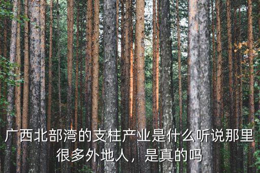 廣西北部灣的支柱產(chǎn)業(yè)是什么聽說那里很多外地人，是真的嗎