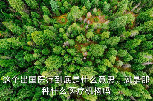 這個出國醫(yī)療到底是什么意思，就是那種什么醫(yī)療機構嗎