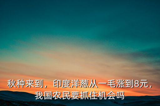 秋種來(lái)到，印度洋蔥從一毛漲到8元，我國(guó)農(nóng)民要抓住機(jī)會(huì)嗎