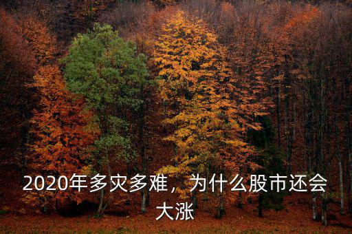 2020年多災多難，為什么股市還會大漲