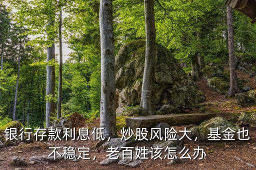 銀行存款利息低，炒股風險大，基金也不穩(wěn)定，老百姓該怎么辦