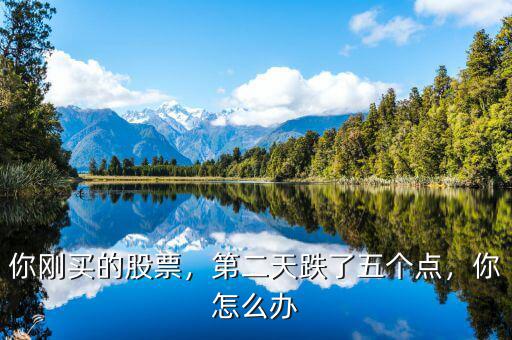 你剛買的股票，第二天跌了五個(gè)點(diǎn)，你怎么辦