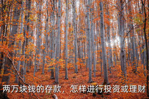 兩萬塊錢的存款，怎樣進(jìn)行投資或理財(cái)