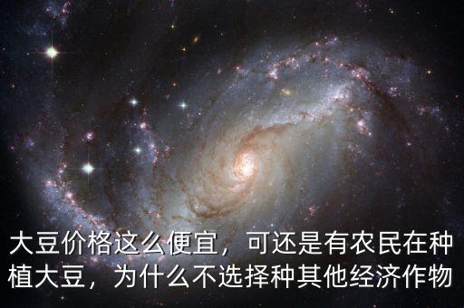 大豆價格這么便宜，可還是有農(nóng)民在種植大豆，為什么不選擇種其他經(jīng)濟作物
