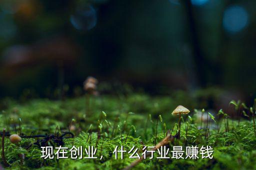 現(xiàn)在創(chuàng)業(yè)，什么行業(yè)最賺錢