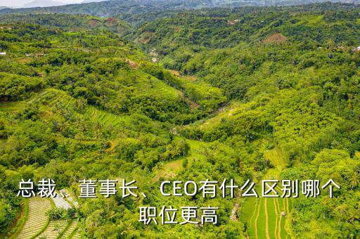 總裁、董事長(zhǎng)、CEO有什么區(qū)別哪個(gè)職位更高
