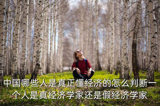 中國經濟學人怎么樣,中國哪些人是真正懂經濟的