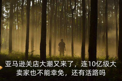 亞馬遜關店大潮又來了，連10億級大賣家也不能幸免，還有活路嗎