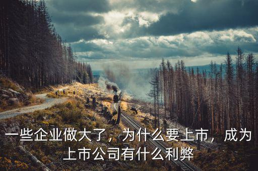 一些企業(yè)做大了，為什么要上市，成為上市公司有什么利弊