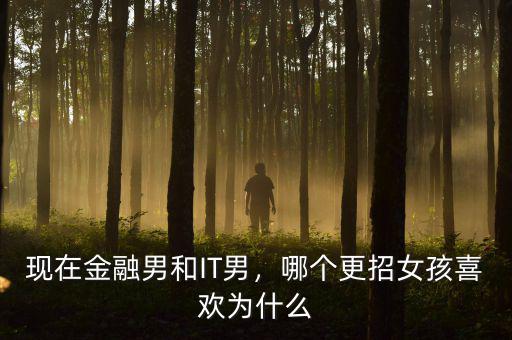 現(xiàn)在金融男和IT男，哪個更招女孩喜歡為什么
