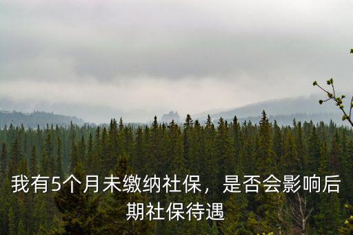 我有5個(gè)月未繳納社保，是否會(huì)影響后期社保待遇