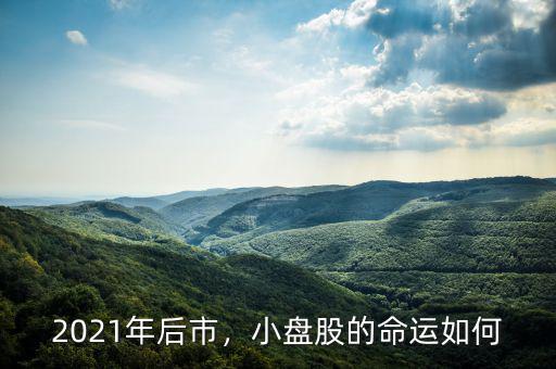 2021年后市，小盤股的命運如何