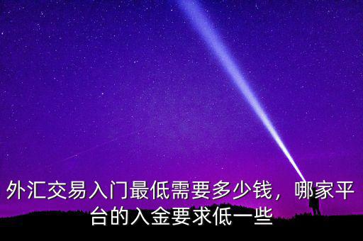 外匯交易入門(mén)最低需要多少錢(qián)，哪家平臺(tái)的入金要求低一些