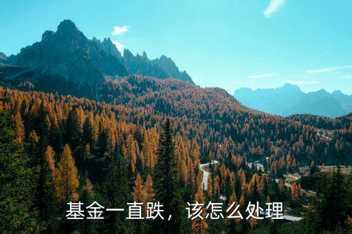 基金一直跌，該怎么處理