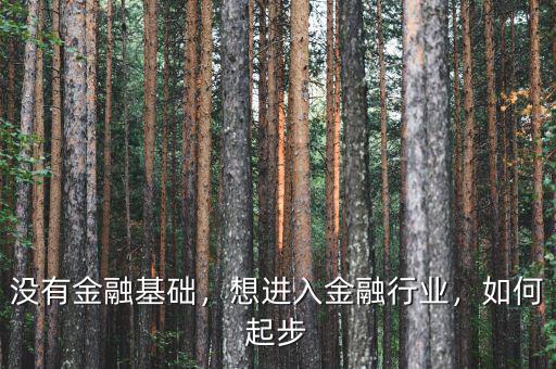 沒有金融基礎，想進入金融行業(yè)，如何起步