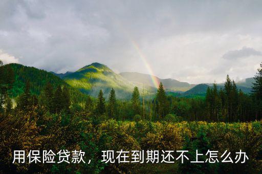 如果銀保到期不能還本怎么辦,現在到期還不上怎么辦
