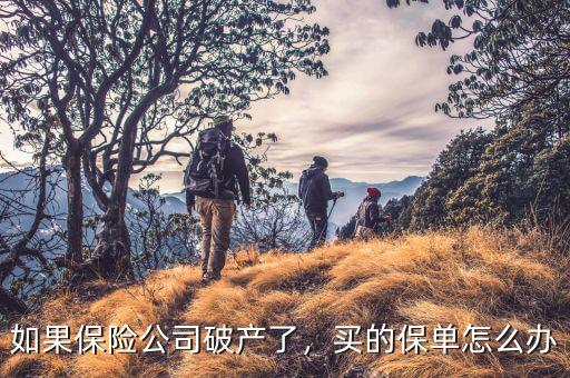 如果保險(xiǎn)公司破產(chǎn)了，買的保單怎么辦