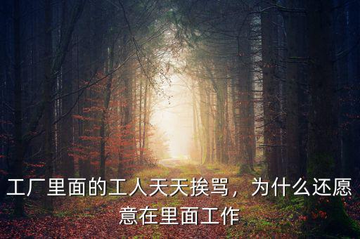 工廠里面的工人天天挨罵，為什么還愿意在里面工作
