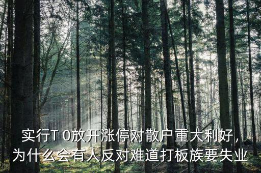 實行T 0放開漲停對散戶重大利好，為什么會有人反對難道打板族要失業(yè)