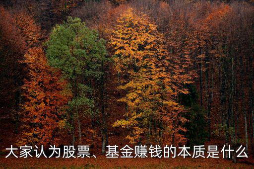 大家認(rèn)為股票、基金賺錢的本質(zhì)是什么