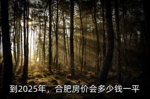 到2025年，合肥房價會多少錢一平