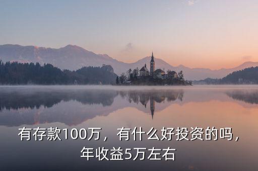 有存款100萬(wàn)，有什么好投資的嗎，年收益5萬(wàn)左右