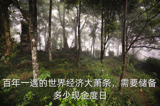 百年一遇的世界經(jīng)濟(jì)大蕭條，需要儲(chǔ)備多少現(xiàn)金度日