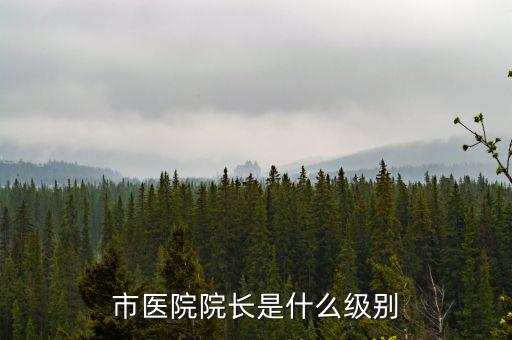 張來(lái)明是什么級(jí)別,市醫(yī)院院長(zhǎng)是什么級(jí)別